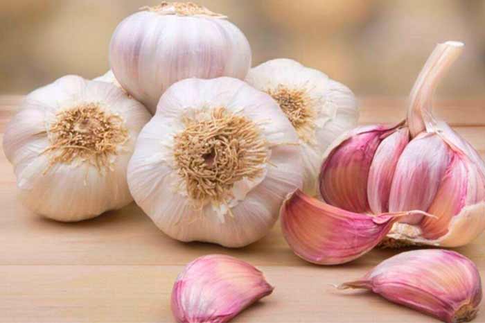 Три продукта от кишечных паразитов