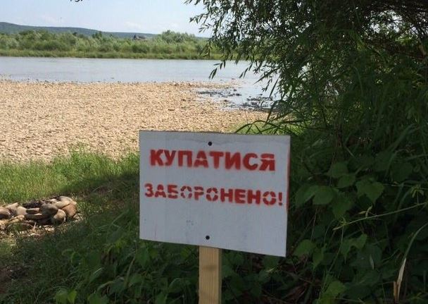Популярные пляжи Киева непригодны для купания