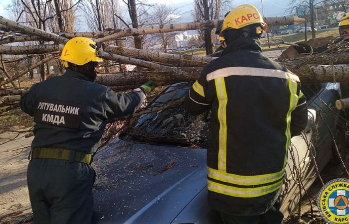 Ураган в Киеве повредил автомобили и повалил деревья