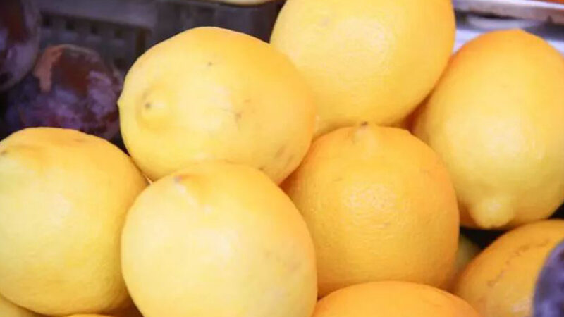 Які 9 секретів допоможуть дожити до 100 років: медики розкрили таємниці