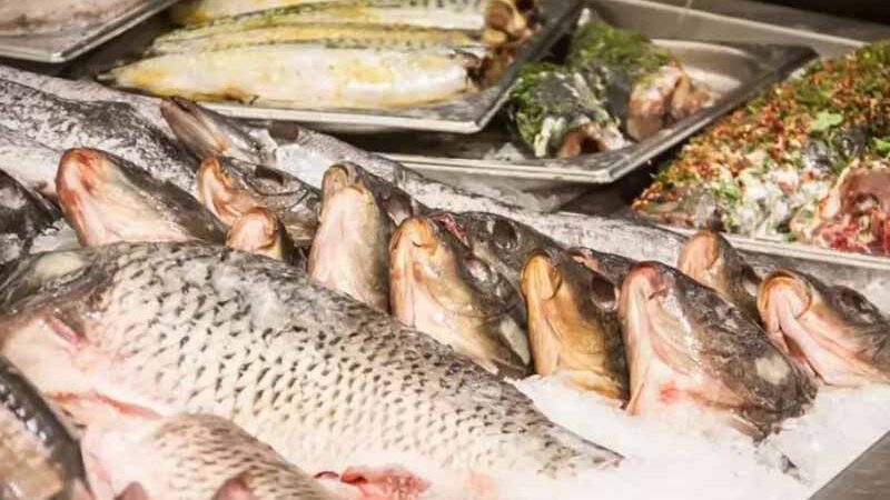 Яка риба найшкідливіша і чому