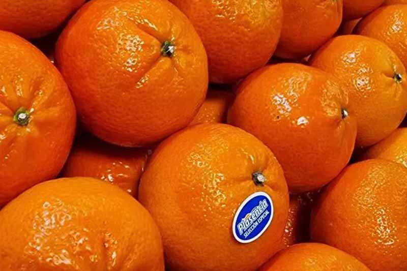 Як використовувати мандаринові кірки в домашній косметології: хитрощі, про які багато хто не чув