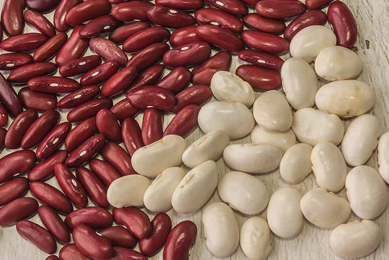 Як покращити зовнішність за допомогою простих способів: експерти розкрили секрети