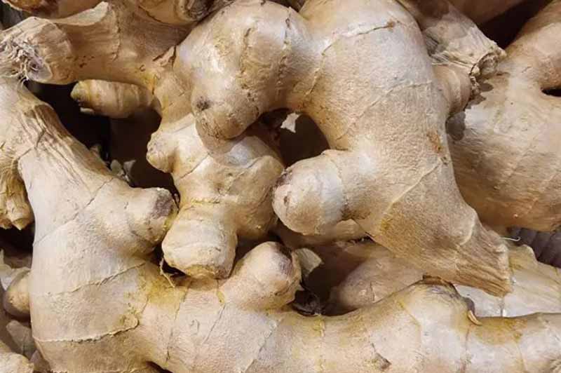 Які продукти харчування допоможуть відростити розкішне волосся: поради експертів