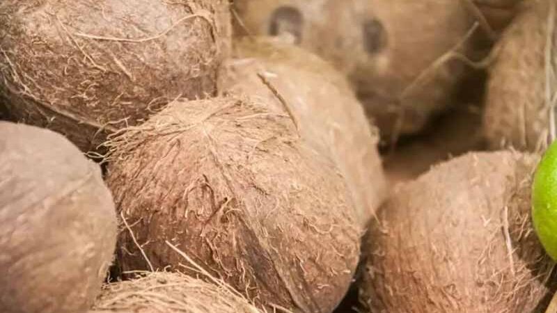 Чому варто звернути увагу на кокосове масло: експерти назвали 3 переваги продукту