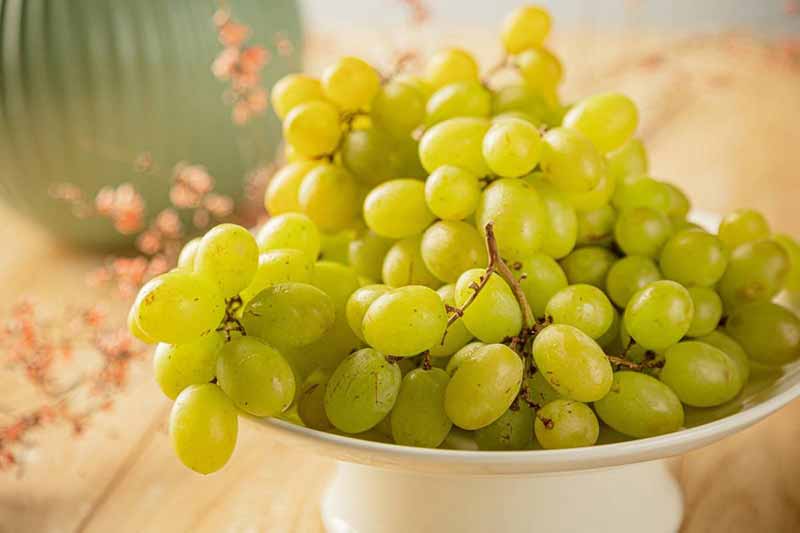 Як вибрати хороше виноградне масло: для здоров’я та краси