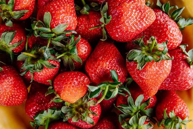 Чим корисна полуниця: експерти назвали відчутні переваги продукту