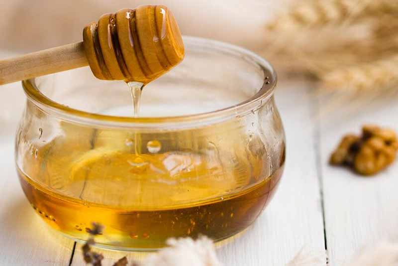 Як правильно їсти мед для здоров’я: секрети золотого еліксиру, про які ви не знали