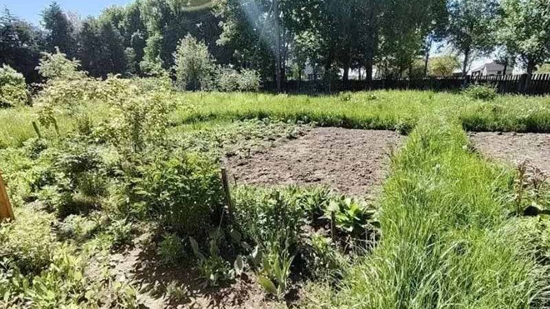 Дачникам розповіли, чи може робота на городі замінити заняття спортом: як правильно «відпочивати» на городі