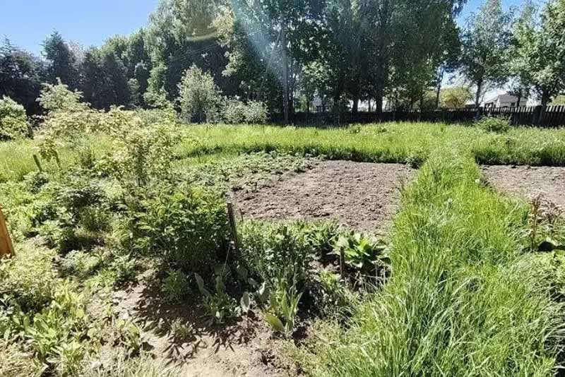 Дачникам розповіли, чи може робота на городі замінити заняття спортом: як правильно «відпочивати» на городі