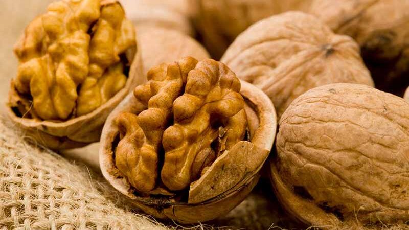 Кому не можна їсти волоські горіхи: 6 категорій людей, яким цей продукт не принесе користі