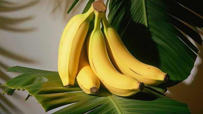 З чим не можна їсти банани: ці поєднання продуктів визнані шкідливими