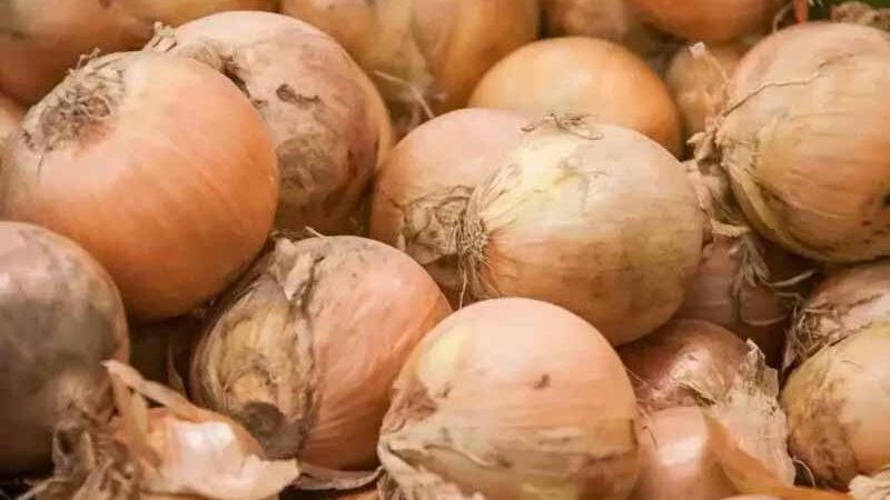 Як зберігати цибулю у квартирі: не сохне, не проростає і не гниє